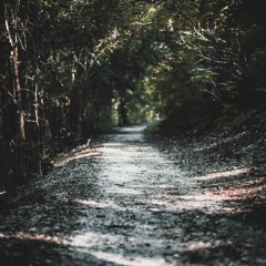 Running Up That Hill