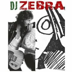DJ ZEBRA - Allez viens