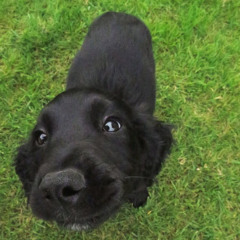 heyo (prod. northboy)