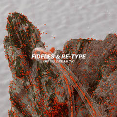 Fideles & Re-Type - Are We Dreaming (Impressum Recordings)
