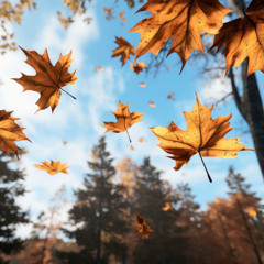 La Vang Va Gio - Phatt ft QuyMoc