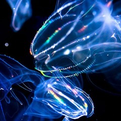 Dante YN Type Beat - "Tequila"