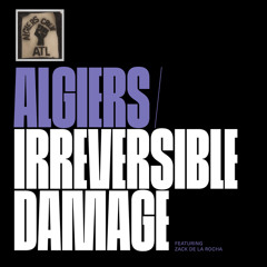 Algiers feat. Zack De La Rocha - Irreversible Damage