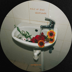 PREMIERE: Aisle of Dogs - Wildflower [Dancing On Wax]