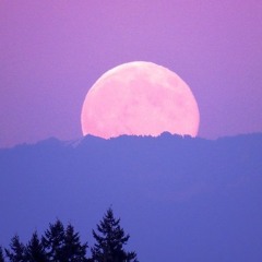 Moonshakin' - August 2020