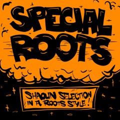 Asymetrics Present : Shaolin Sound - Special Roots