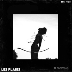 LES PLAIES | Femtogo X Vilhelm Type Beat
