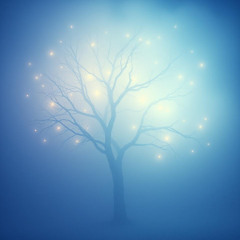 Echoes in Time