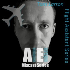 AE Flight Asisstant - Tom Larson