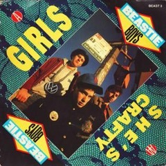 Beastie Boys - Girls (Techno Remix)