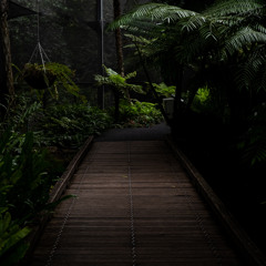 Hypnotic Raw Techno | Follow the Groove |