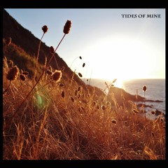 Tides of Mine