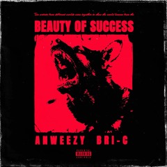 Beauty Of Success [Prod. Anweezy]