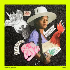 #Wobbling_Pivot : 005 - FÅUNO