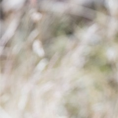 Sierra de Mendoza - Cuyo - Argentina