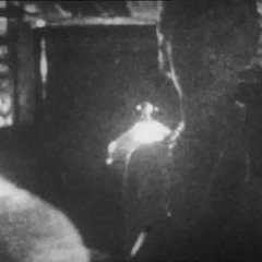 MALFORMED 19-73 (documentary)