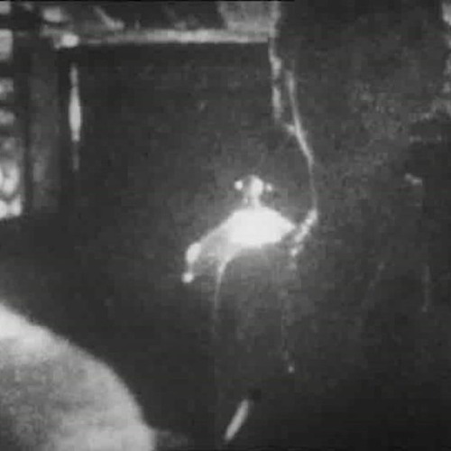 MALFORMED 19-73 (documentary)