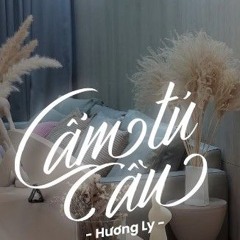 CẨM TÚ CẦU | RAYO X HUỲNH VĂN | HƯƠNG LY COVER