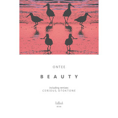Beauty (Otoktone Remix)