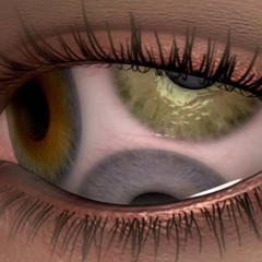 Kenzzo Bandzz- Fiction (Nxrth)