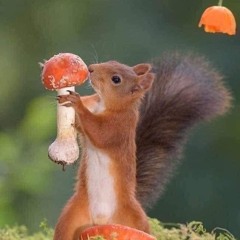 Bermeja - Roberts Creek Legion March 2024 2nd set