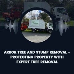 Arbor Tree And Stump Removal - Protecting Property With Expert Tree Removal