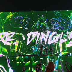 Dingus - (Subtronics, LEVEL UP, Wooli)
