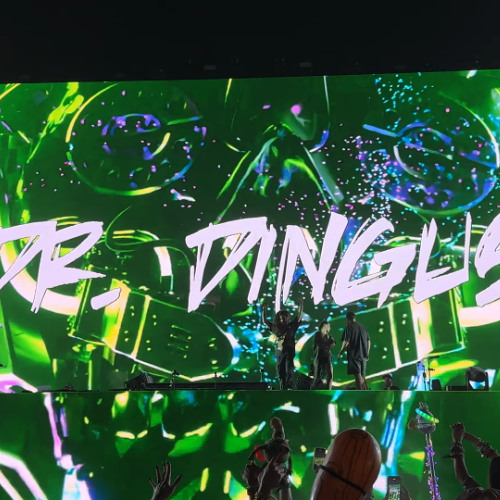 Dingus - (Subtronics, LEVEL UP, Wooli)