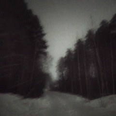 snowgarden,wonderfulnigh2222222t