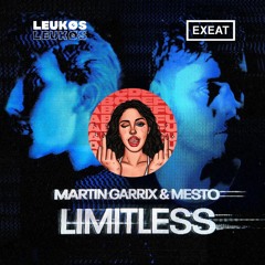 Martin Garrix x GAYLE - Limitless vs ABCDEFU (LEUKØS X EXEAT Mashup)