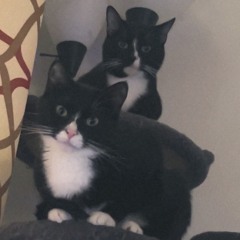 UglyGodBandz ( Prod. Geekinz )