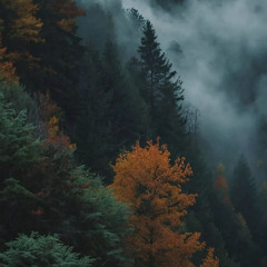 As The Leaves Fall