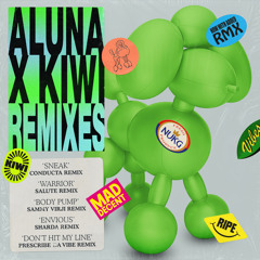 Warrior (salute Remix) [feat. SG Lewis]
