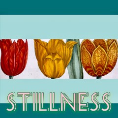 Stillness
