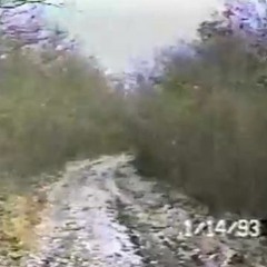 (2021) sinz (prod. skanier + eus3cy)