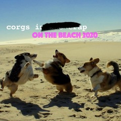 Corgs Summer 2020