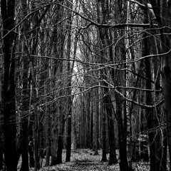 Stephobia Techno Mix