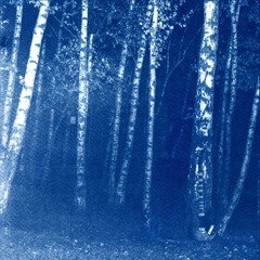 A Man Who Won't Speak