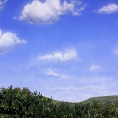 Head in the Clouds