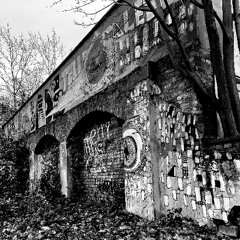 CélesteK x bnd303 - Elektrolyte