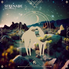 MELOTONIC - Serenade (Cafe De Anatolia)