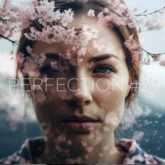 PERFECTION #29