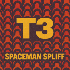 T3