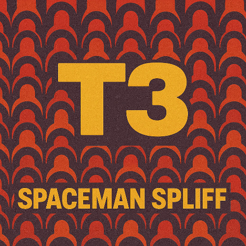 T3