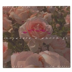 cr00k x david entendu - anywhere u wanna go (prod.lilsp00k x salem avenue)