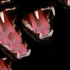 RESURRECTION MIDNIGHT VERSION