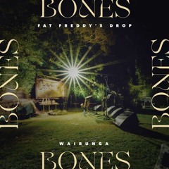 Fat Freddy's Drop Bones Remix