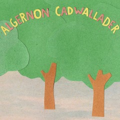 Algernon Cadwallader
