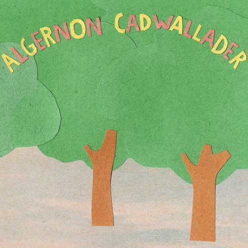 Algernon Cadwallader