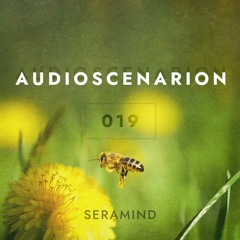 Audioscenarion 019 [July 2021]